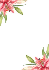  Oriental hybrid lilies. Pink lily flowers and buds. Brochure design template. Watercolor hand-drawn A4 layout.