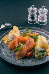 salmon, trout with vegetables and sauce on plate, as well as a poached egg on bread
