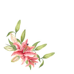 Pink Stargazer Lilies. Lily flower. Hand-drawn watercolor wreath. Artistic illustration.