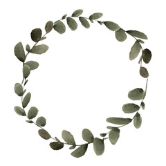 A wreath of eucalyptus with daisies is painted in watercolor, on a white background, for your design. Spring, gentle.