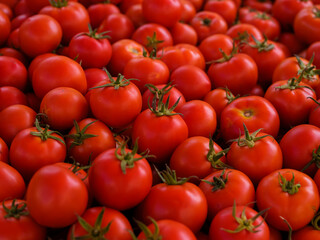 fresh tomatoes at the market