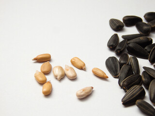 Seed of Sunflower isolated on white background. Close-up of delicious sunflower black seeds, isolated on white background