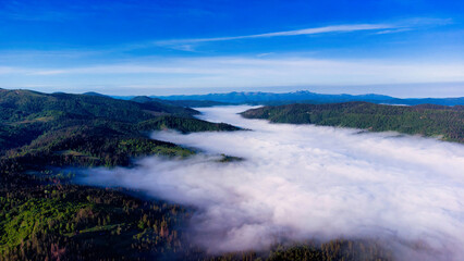 Fototapeta na wymiar fog and cloud mountain valley landscape. foggy mountains