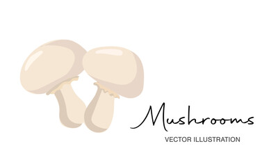 Cartoon vector icon illustration of mushroom champignon. Fresh cartoon organic mushroom isolated on white background used for magazine, book, poster, card, menu cover, web pages.