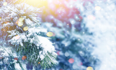Christmas Tree. Cristmas New Year Winter background. Christmas greeting card. Christmas lights.