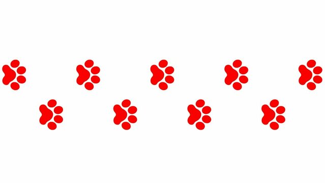 Animated cat red tracks. A cat's paw print appears take turns. Looped video. Vector flat illustration isolated on the white background