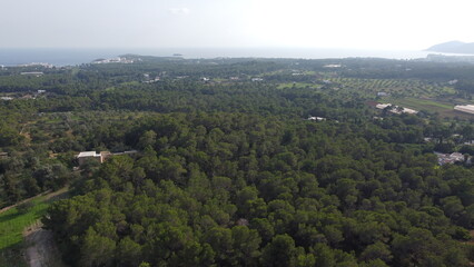 Drone shot of a typical landscape in Ibiza (Spain)