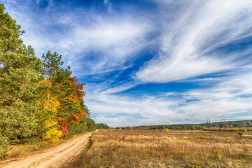 Landscape autumn with colourful trees, autumn Poland, Europe and amazing blue sky with clouds, sunny day