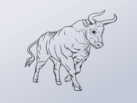 Black linear paint draw bull. Astrological Taurus zodiac sign. Astrology emblem.Vector illustration