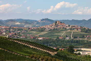 Obraz premium Langhe vineyards near Grinzane Cavour. Unesco Site, Piedmont, Italy