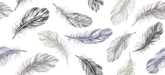 Hand drawn feather on white background	
