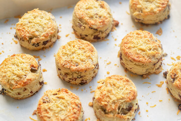 A tray of baked savory bacon scones with a sprinkles of cheddar and parmesan cheese on top