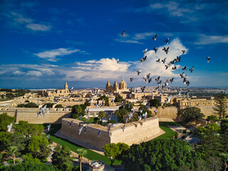 Aerial view of flock of doves in front of Mdina Old Capital  the Silent City and  Medieval Town in...