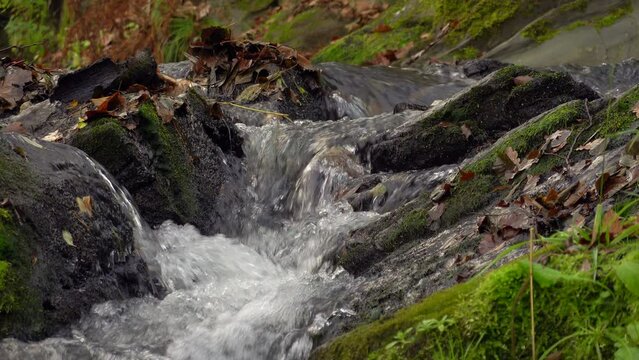 Detail Selkefall im Harz, Deutschland