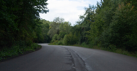 road in the forest