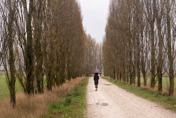 Woman walking a rainy day in a corridor of trees