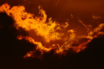 Blur focus Sunset sky orange sky orange cloud outdoor summer nature