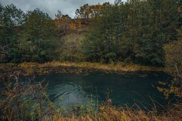autumn wildlife in the countryside
