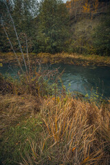 autumn wildlife in the countryside