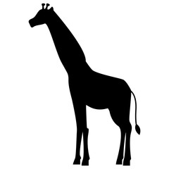 Wildlife Animal Silhouette Illustration