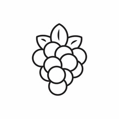 Raspberry Fruit Icon Outline