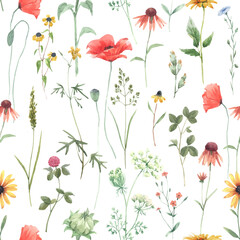 Beautiful vector floral seamless pattern with watercolor hand drawn field wild flowers. Stock illustration.