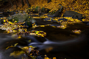 Herbstzauber an einer Flusslandschaft in der Lausitz- Das Löbauer Wasser 4