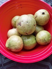 some fresh yellow guava fruit picked straight from the tree