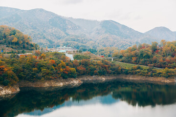 美しい紅葉と湖