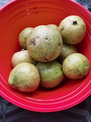 some fresh yellow guava fruit picked straight from the tree