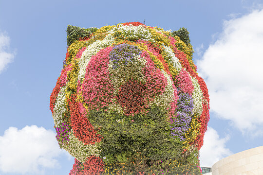 BILBAO, SPAIN-AUGUST 8, 2021: Sculpture Puppy by Jeff Koons in front of the Guggenheim Museum Bilbao