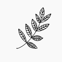 A branch with rowan leaves. Icon. Hand-drawn vector doodle illustration.