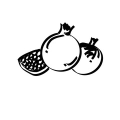 Pomegranates. Hand-drawn doodle illustration. Vector