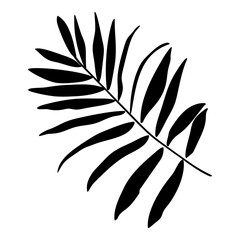 palm leaves silhouette illustration