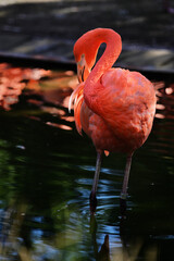 光の中にたたずむ
