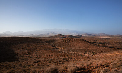 Fototapeta na wymiar Cactus Desert Sunset in Tenerife Canary Island 