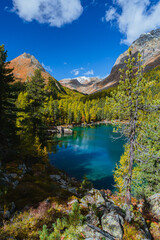 Fototapeta na wymiar The saoseo lake with its spectacular colors and the swiss alps with the autumn light, near the village of Poschiavo, Switzerland - October 2022.