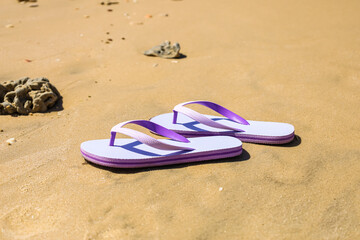 Fototapeta na wymiar Lilac flip flops on seashore, closeup