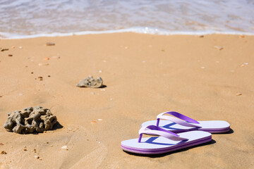 Fototapeta na wymiar Lilac flip flops on seashore, closeup