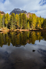 A lake and the mountains in the Swiss alps, during an autumn day near the village of Poschiavo, Switzerland - October 2022.