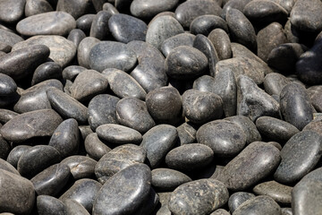 Black pebbles as background, closeup