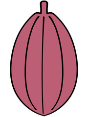 ルビーカカオの実のイラスト素材