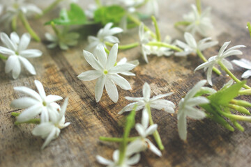 Fototapeta na wymiar Soft Focus Jasmine flowers on wooden background.