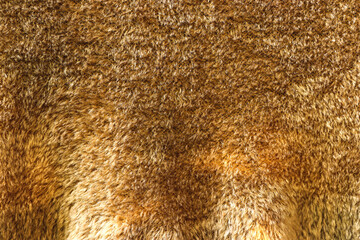 Texture of the fabric gives warmth in the brown winter.