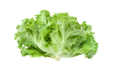 Lettuce salad leaves isolated on transparent png