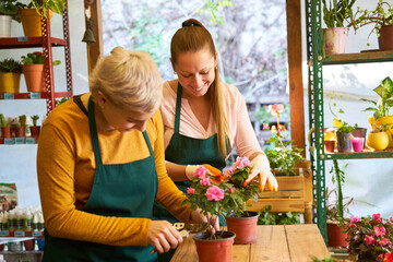 Floristry team caring for plants in the flower shop