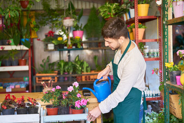 Florist watering the flowers with the watering can