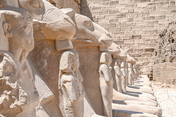 A long line of sphinxes in Karnak.