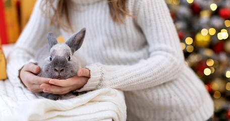 Cute Christmas rabbit Symbol of the New year 2022 close-up in the hands of a child on the background of a decorated Christmas tree with defocus lights