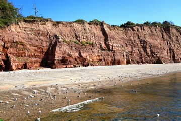 View of the beach and cliffs at Pennington Point, Sidmouth, Devon, UK, Europe